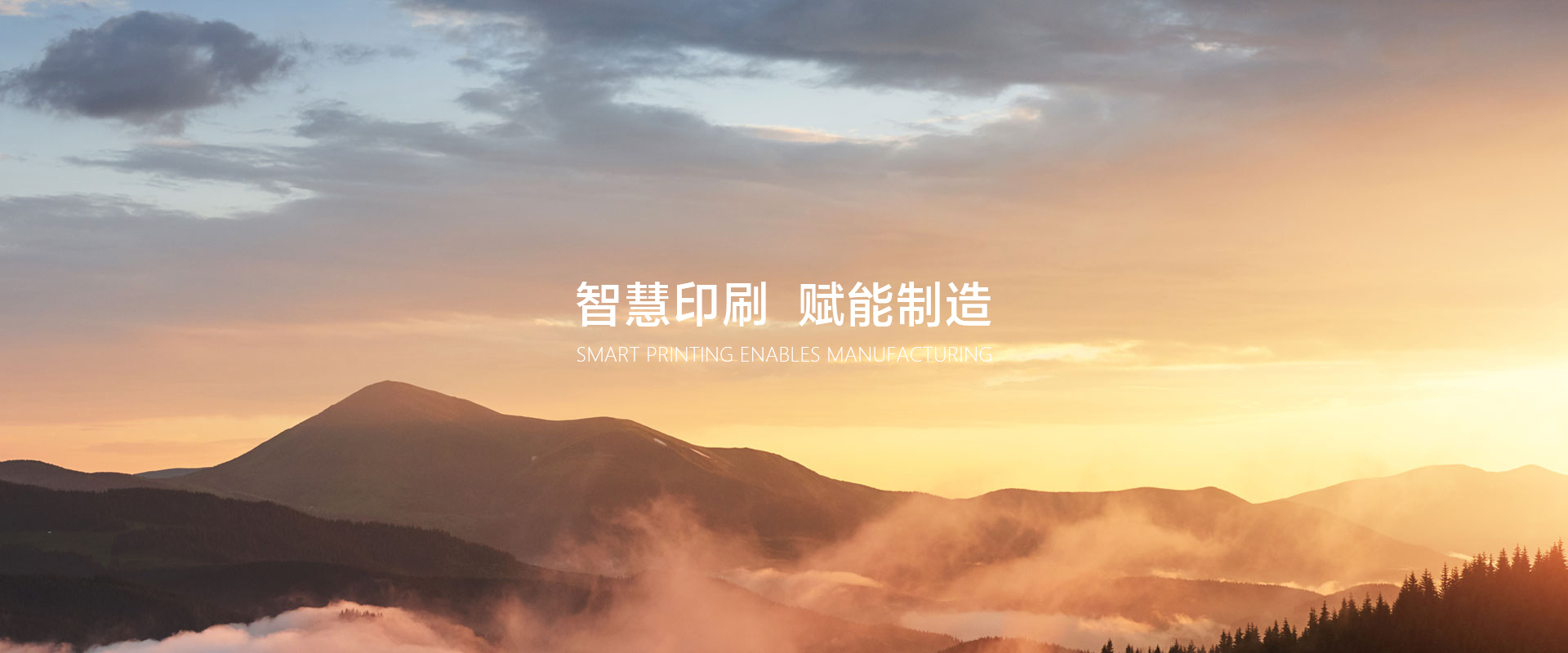 網站首頁-浙江元金包裝有限公司